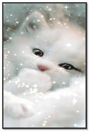 Whiskers of Winter Magic ❄️✨