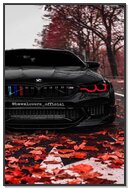 The Beast Awaits: BMW M5 in Autumn Splendor 🍂🚗