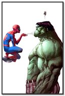 Web-Slinging Friends: Spidey and Hulk Unite! 🕷️💚