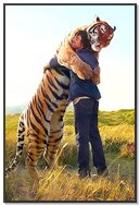 Abbraccio della natura selvaggia: l'affetto di una tigre 🐅❤ ️