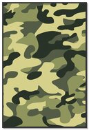 Nature's Disguise: The Art of Camouflage 🌿🎨