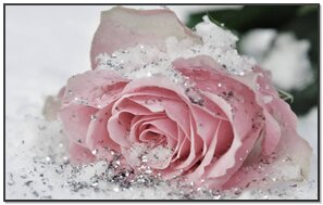 ピンクパンサー壁紙 Phonekyから携帯端末にダウンロード