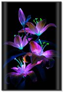 Luminous Blooms: A Dance of Colors 🌸✨