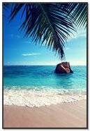 Paradise Found: A Tropical Escape 🌴🌊