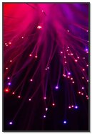 Dancing Lights: The Enchantment of Fiber Lamps ✨