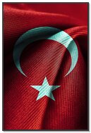 Waves of Pride: The Turkish Flag 🇹🇷