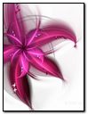 Abstract Pink Flower