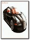 Bugatti Hc 240