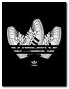 Adidas Superstars