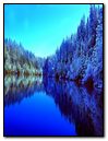 Frosty Forest Lake