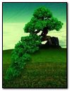 Lonely Tree Wallpaper - Download to your mobile from PHONEKY