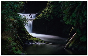 滝の草自然の影壁紙 Phonekyから携帯端末にダウンロード