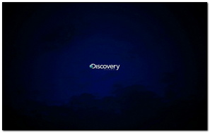 Discovery Channel Wallpaper - Download to your mobile from PHONEKY