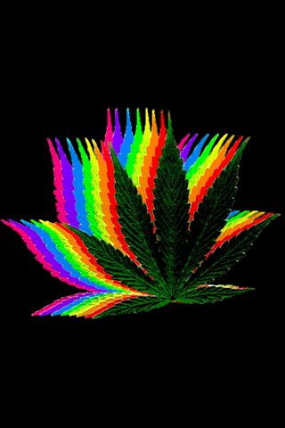 Rainbow Weed