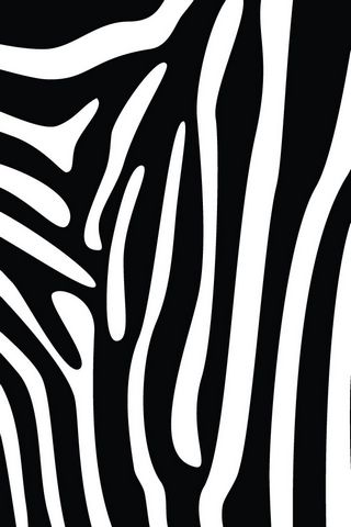 Zebra Print - Home/Lock Screen IP4