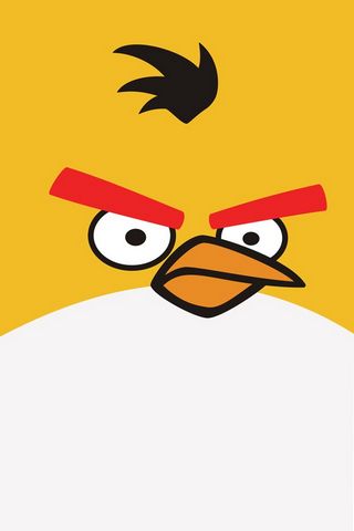 愤怒的小鸟-2