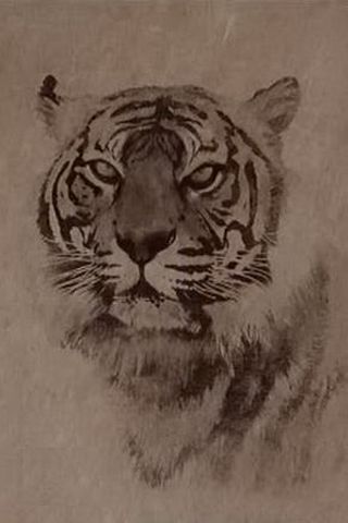 Tiger Sepia