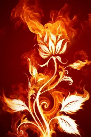 Fiore di fuoco