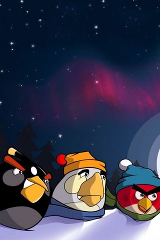 ANGRY BIRDS WINTER
