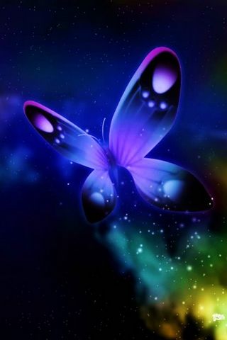 Światła motyla