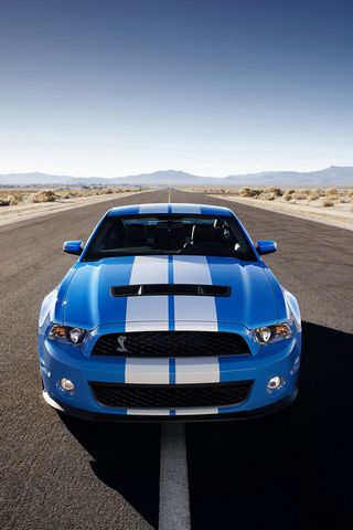 Shelby GT500