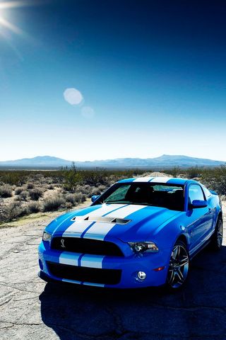Ford Mustang shelby gt350 wallpaper minimal | Wallpapers.ai