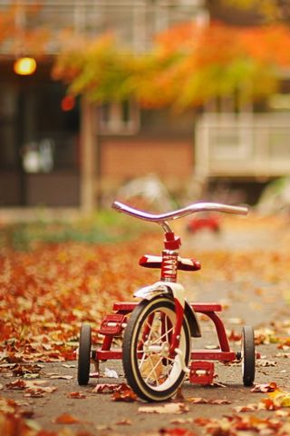 Tricycle-i