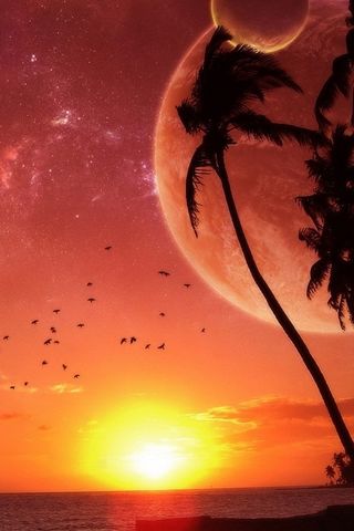 Beach Sunset On Another Planet