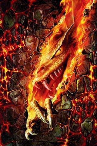 Fire Dragon black flame flames flower under HD phone wallpaper   Peakpx