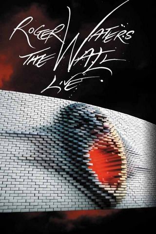 Roger Waters THE WALL
