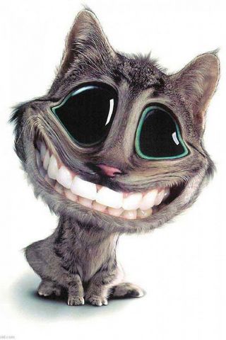 Smiling Cat