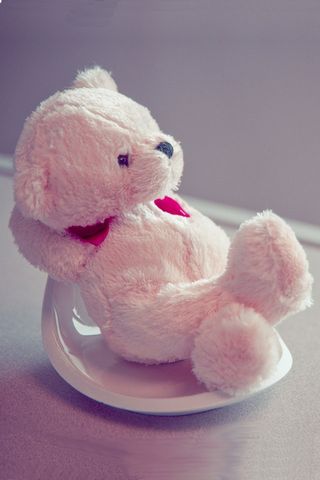 Teddy Bear In Love