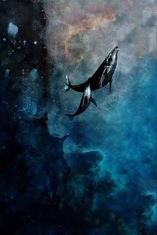 Whales In Space Artwork