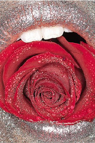 Fresh Rose In Mouth Menampilkan Cinta