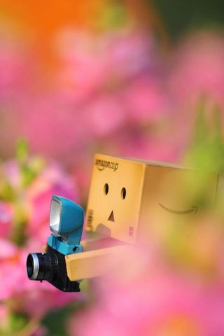Danbo Lost In The Flowers