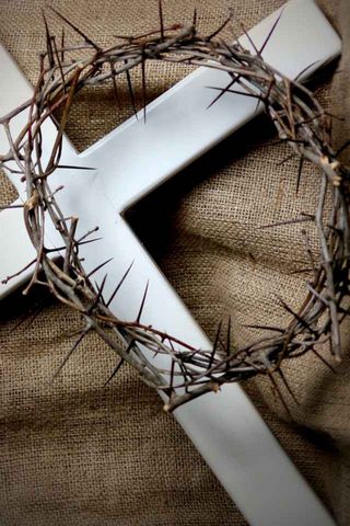 Crown Of Thorns