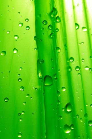 Gotas de água verde