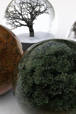 Glass Ball Inside The Four Seasons