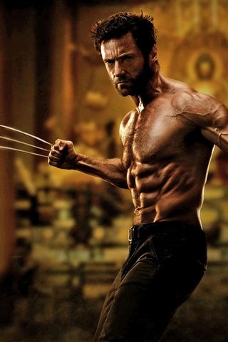 Il Wolverine
