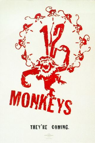 12 बंदर