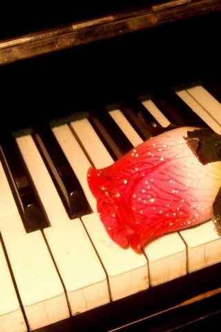 Rose And Piano