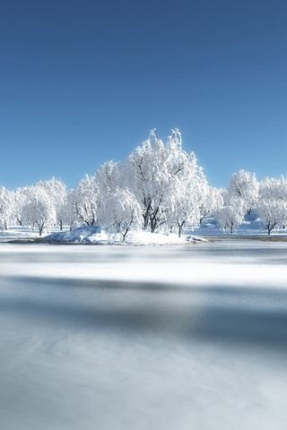 Русское дерево снега