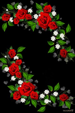 Красные розы и сердца