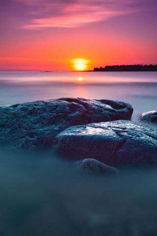 Nature 034