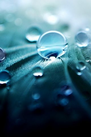 Water Drops Wallpaper Download To Your Mobile From Phoneky