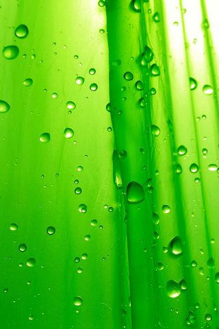 Green-drops