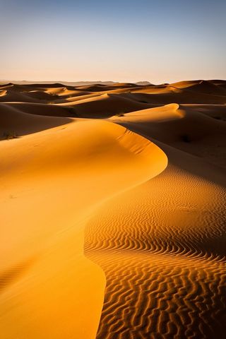 Golden Desert Wallpaper - Download to your mobile from PHONEKY