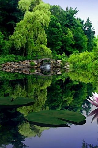 Lake Reflect