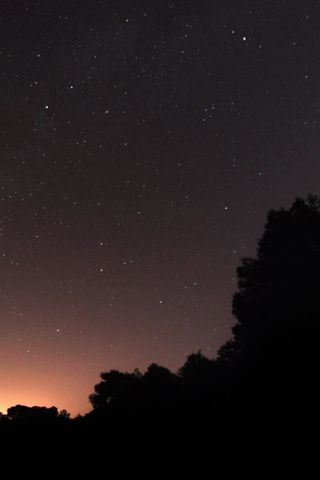 Notte delle stelle
