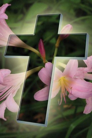 Cross N Flowers